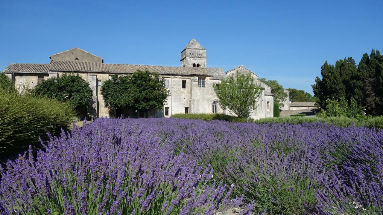 Les Lavandins-Gite Magali Saint-Remy-de-Provence Bagian luar foto