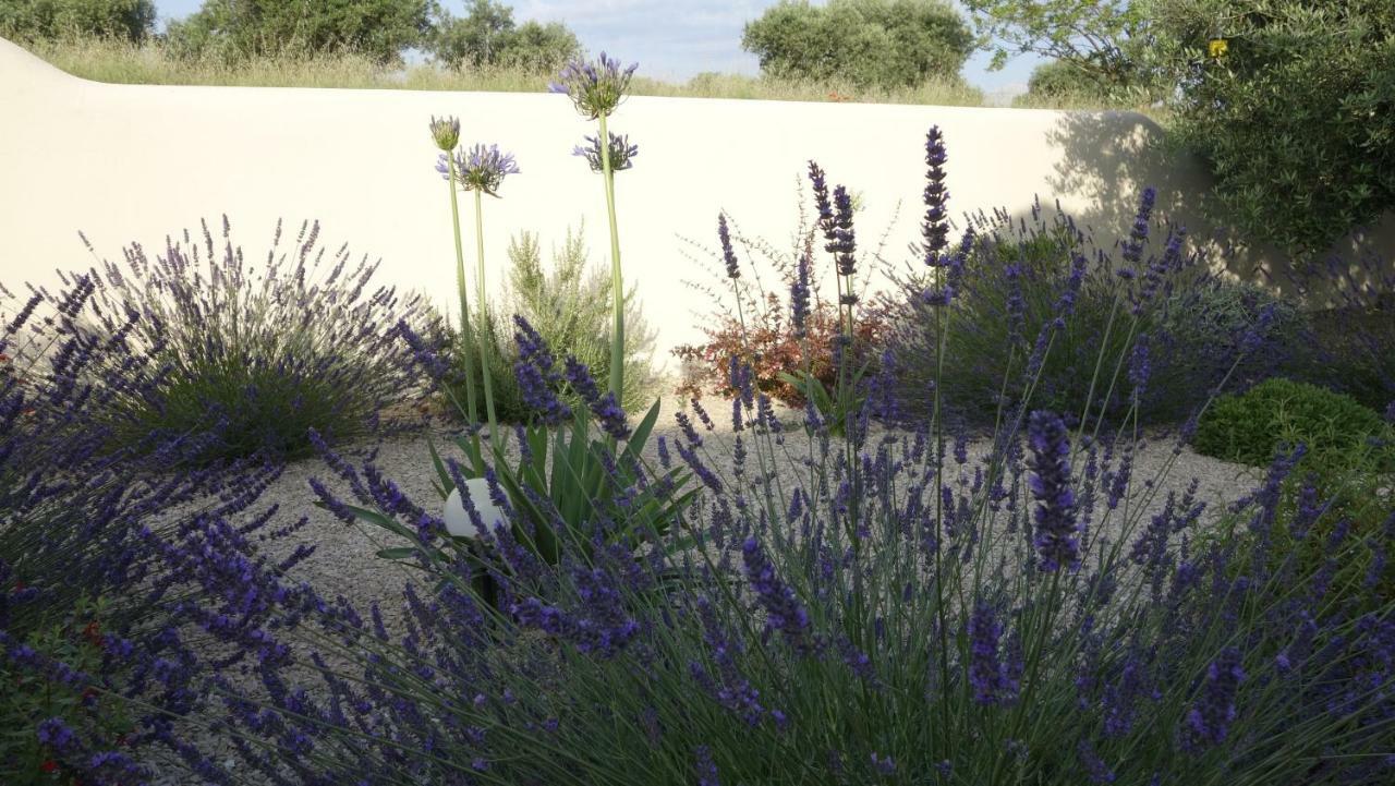 Les Lavandins-Gite Magali Saint-Remy-de-Provence Bagian luar foto