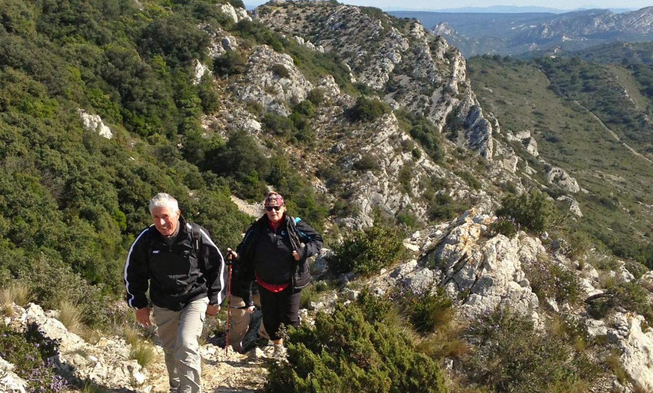 Les Lavandins-Gite Magali Saint-Remy-de-Provence Bagian luar foto
